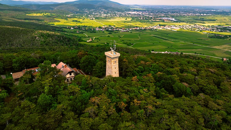 "Harzberg Buam" und Harzbergturm, © Sascha Schernthaner Auf dem Harzberg