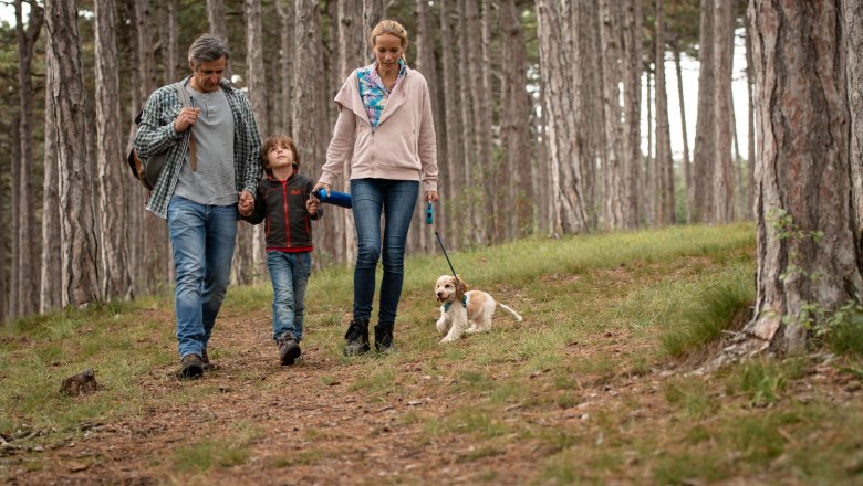 Wein.Wald.Wasser Wanderarena, © Silke Ebster Wein.Wald.Wasser Wanderarena, © Silke Ebster