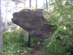 Froschstein, &copy; Foto: Johann Redl