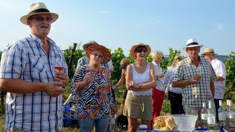 Die etwas andere Weinwanderung, © Johann Ployer