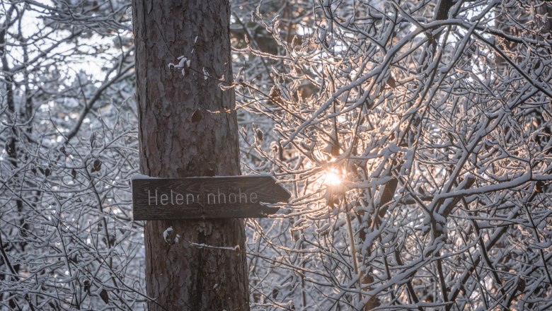 Winter im Wald, © Silke Ebster