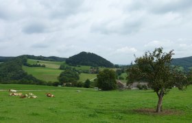 Blick vom Fuchsbauer zur Ruine St. Pankraz, &copy; Wienerwald