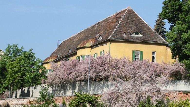 Schloss Gainfarn, © Otto Kühnel