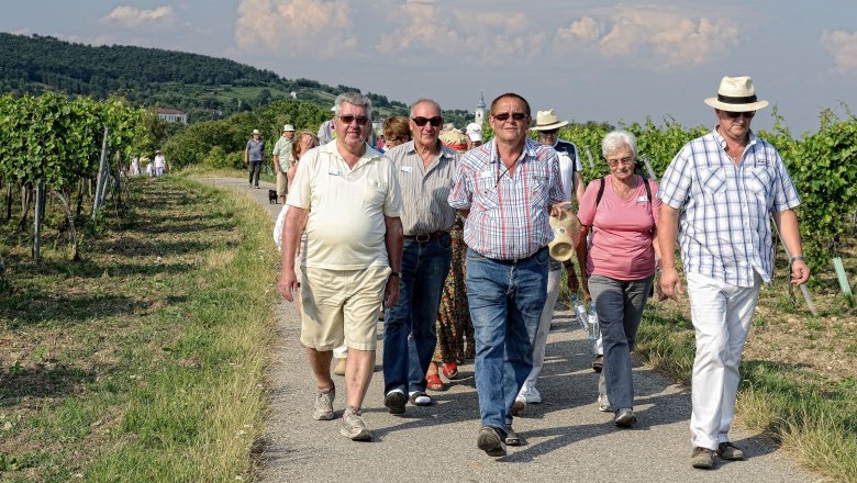 Die etwas andere Weinwanderung, © Johann Ployer