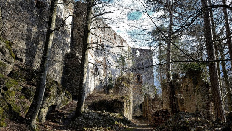 Ruine Merkenstein, © Johann Ployer
