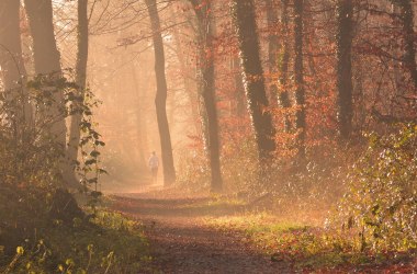 Läuferin im Wald, © Pixabay