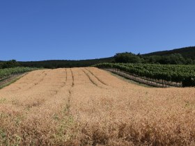 Sonnenweg, &copy; Otto K&uuml;hnel