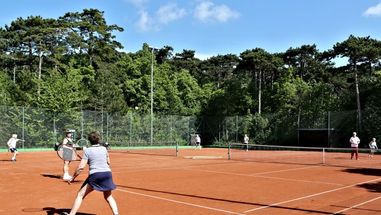 Waldtennisanlage, © Otto Kühnel