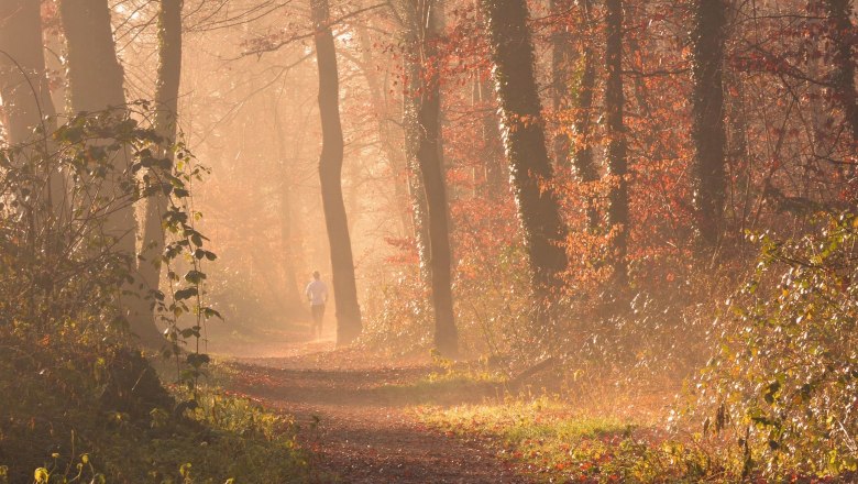 Läuferin im Wald, © Pixabay