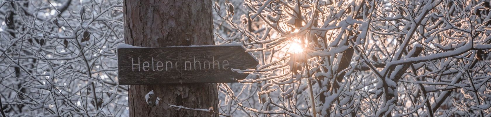 Winter - Wald, &copy; Silke Ebster