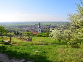 Ausblick vom Sonnenweg auf die Kirche Gainfarn, &copy; Dr. Silke Ebster