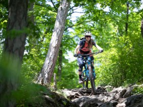 MTB Wienerwald, &copy; Wienerwald Tourismus GmbH / Markus Fr&uuml;hmann