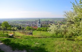 Sonnenweg mit Blick zur Gainfarner Kirche, © Silke Ebster