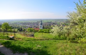 Ausblick vom Sonnenweg auf die Kirche Gainfarn, &copy; Dr. Silke Ebster