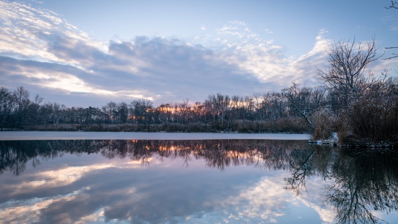 Winter in Bad Vöslau, © Silke Ebster