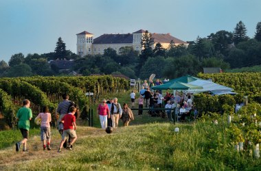 Genussmeile - Blick Richtung Bad Vöslau, © Johann Ployer