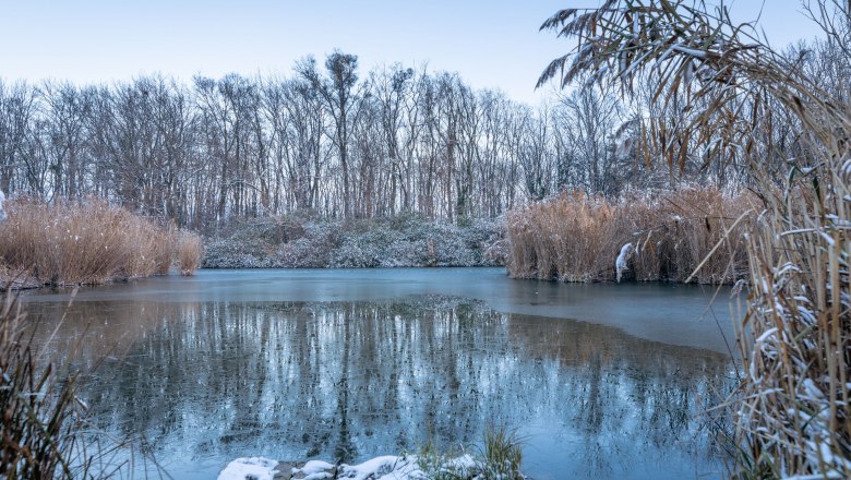 Remise im Winter, © Silke Ebster