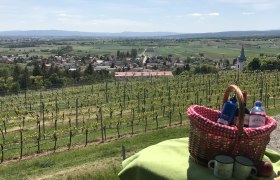 Picknick-Plätze, © Stadtgemeinde Bad Vöslau