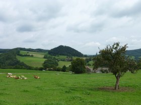 Blick vom Fuchsbauer zur Ruine St. Pankraz, &copy; Wienerwald