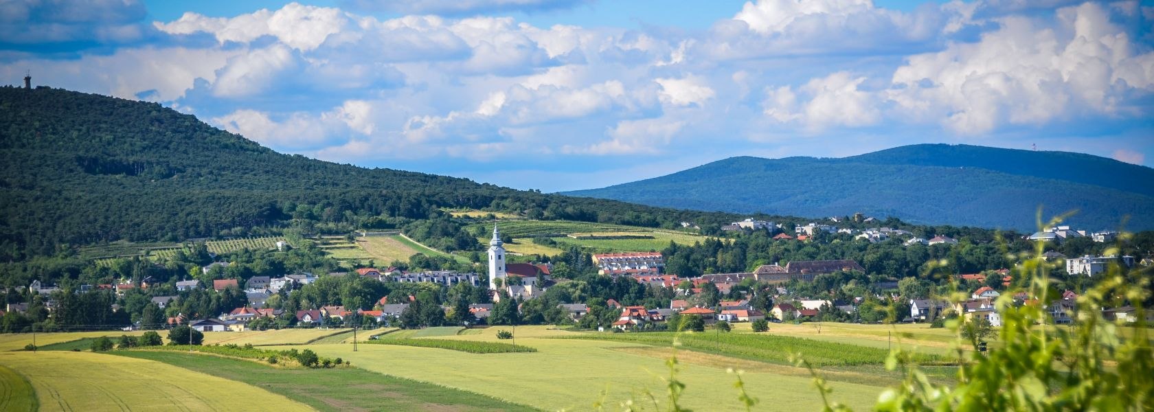 Frühling, © Silke Ebster