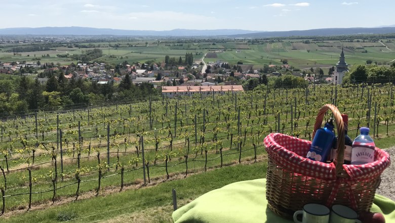 Picknick-Plätze, © Stadtgemeinde Bad Vöslau