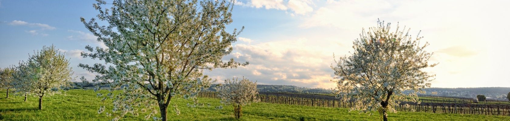 Frühlingslandschaft, © Johann Ployer